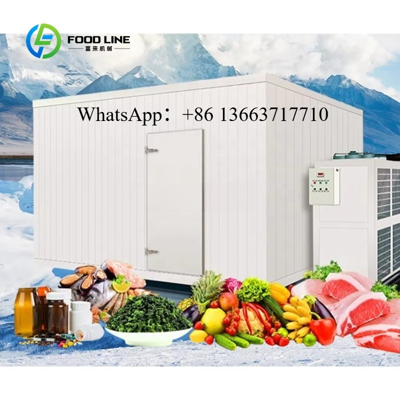 Food Storage Keep Hot - Câmara Fria Personalizada em Promoção: Congelador