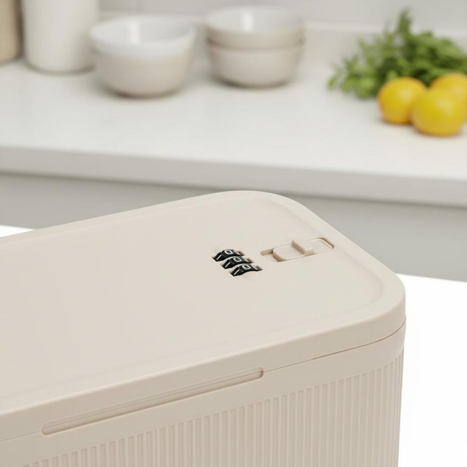 Caixa de Armazenamento com Fec - Food Storage With Lock avaliação e preço