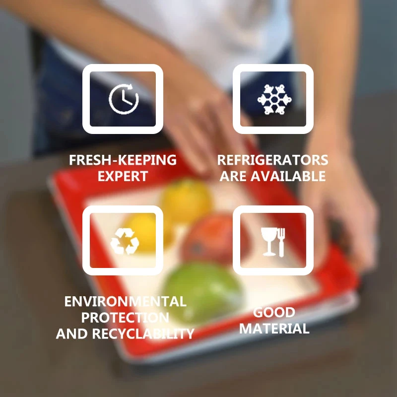 Bandeja de Preservação de Alim - Food Storage Food Safety avaliação e preço