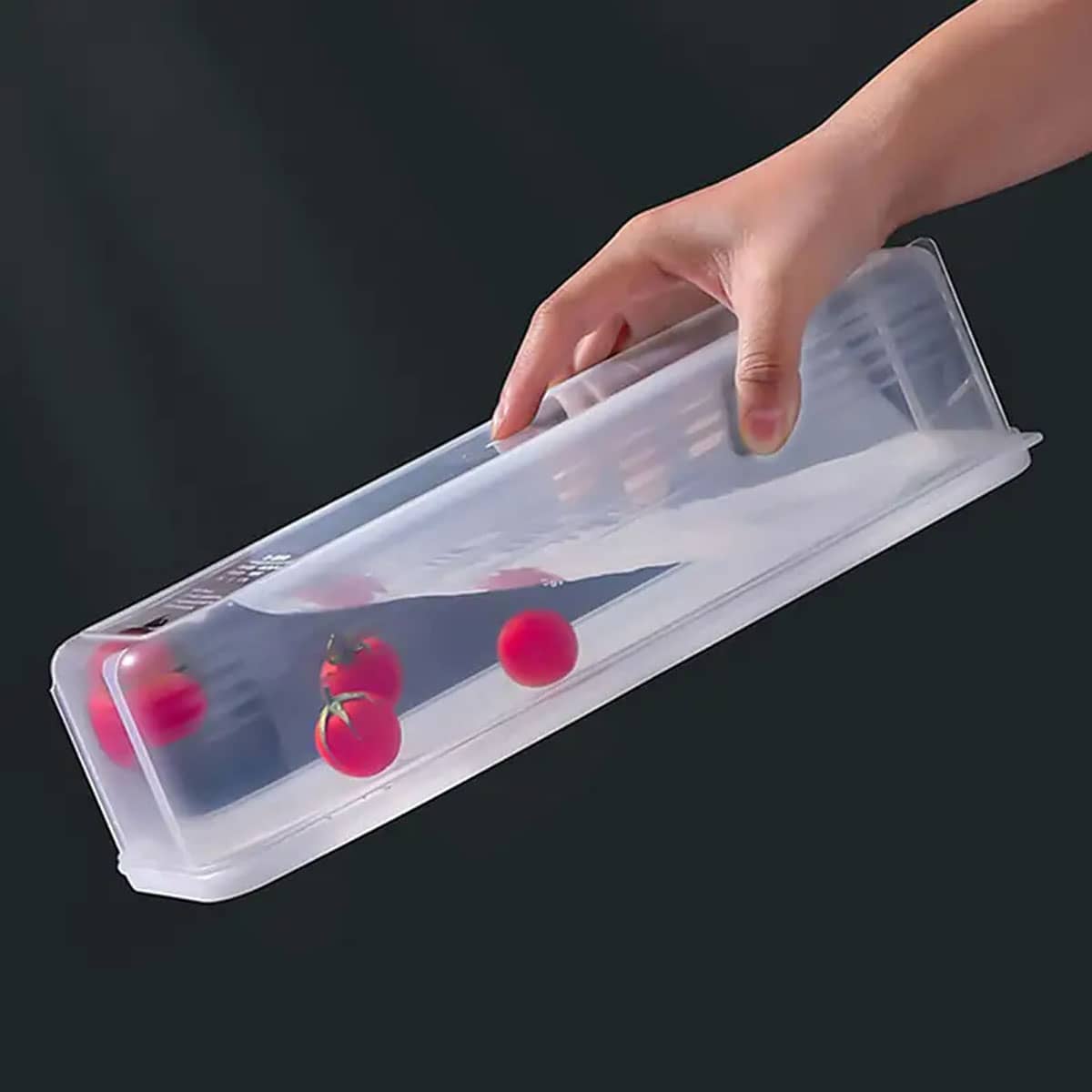 1 Caixa de Armazenamento Plást - Food Storage Boxes With Lids avaliação e preço